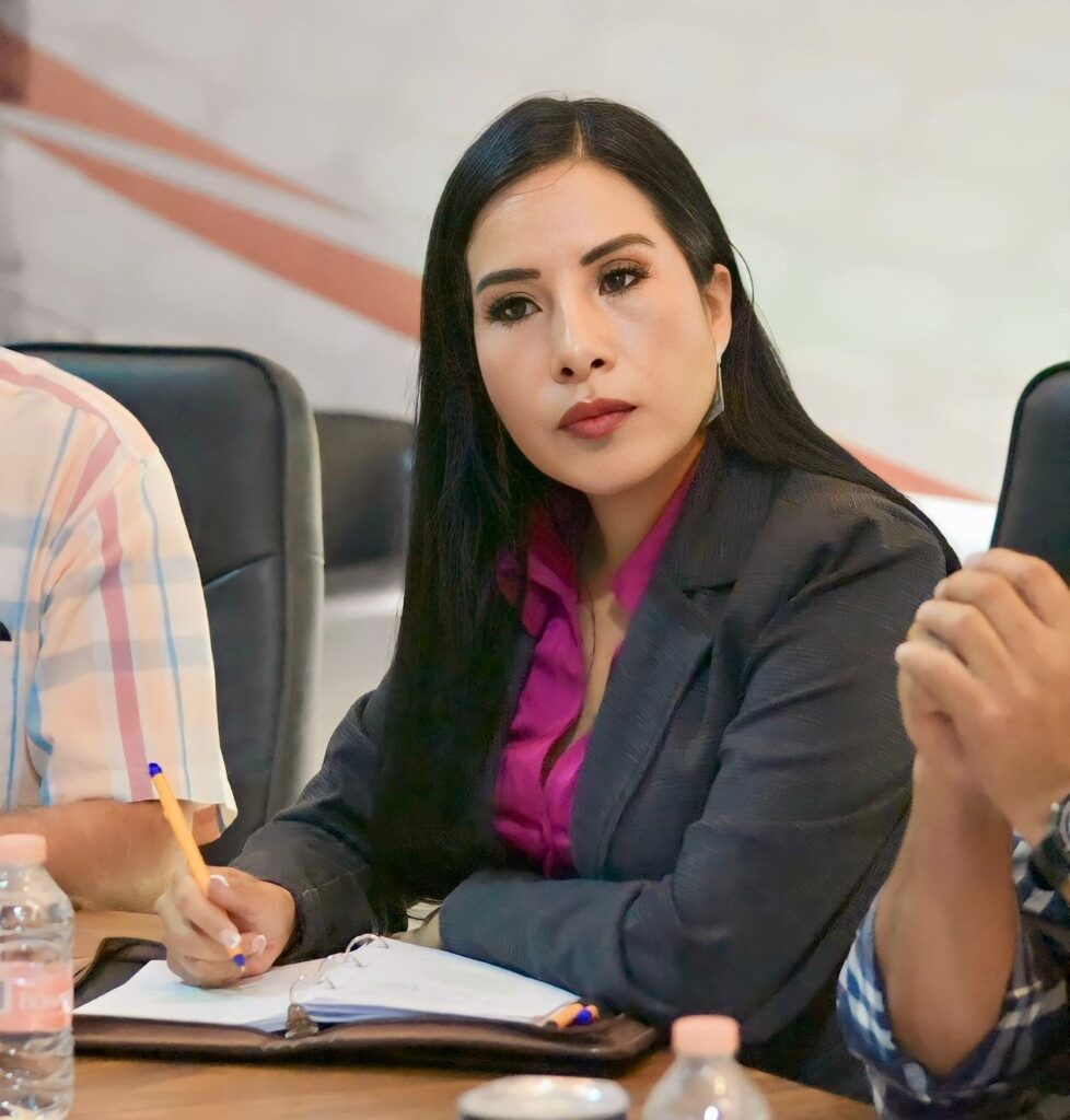 La zona metropolitana requiere planeación para crecer: Hilda Miranda