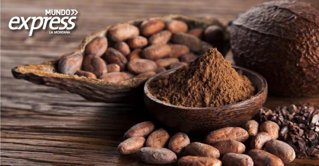 Sequía deja a Hidalgo con escasez de cacao