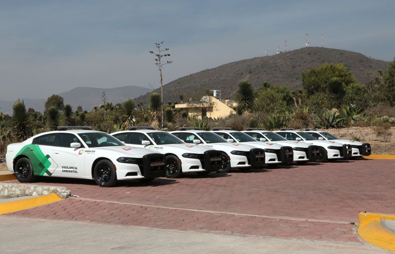 Trascendido: Garganta no tan Profunda (12 de enero)